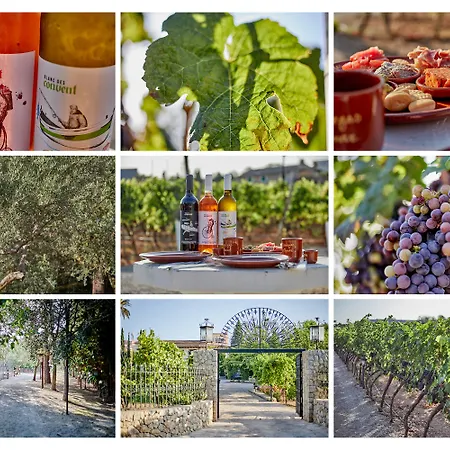 Bauernhof Agroturismo Sa Vinya Des Convent Inca (Mallorca)