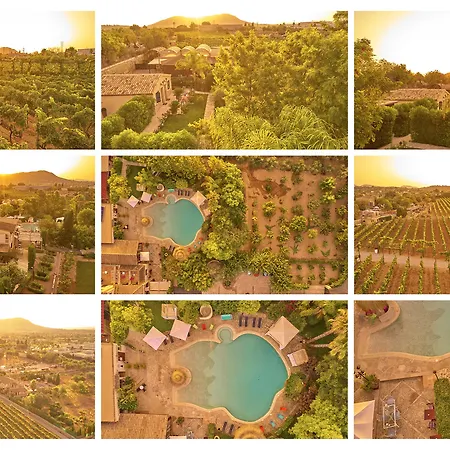 Agroturismo Sa Vinya Des Convent Bauernhof