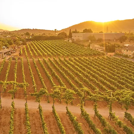 Agroturismo Sa Vinya Des Convent Bauernhof Inca (Mallorca)