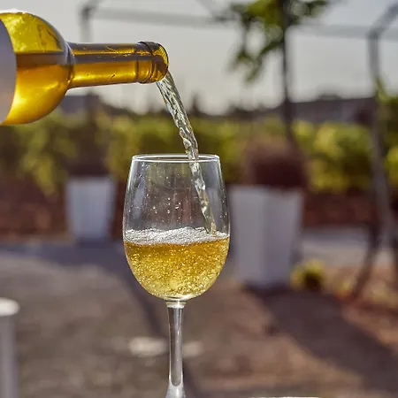 Farma Sa Vinya Des Convent Inca (Mallorca)
