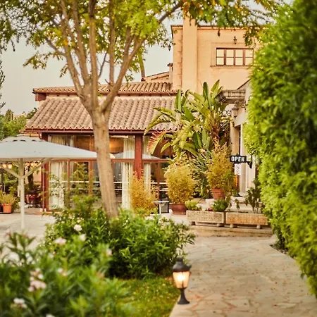 Sa Vinya Des Convent Farma Inca (Mallorca)